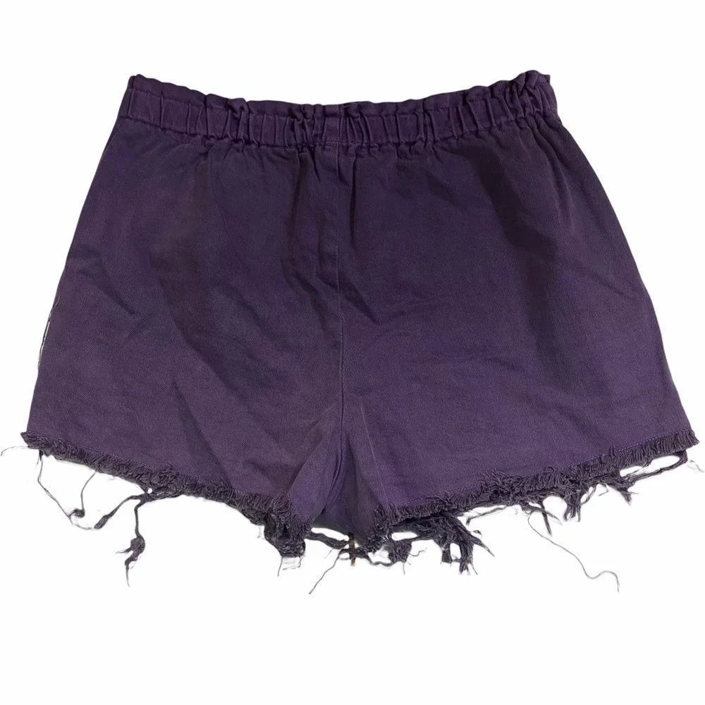 Urban Renewal Plum‎ High Waisted Purple Shorts Summer Medium Pocket
